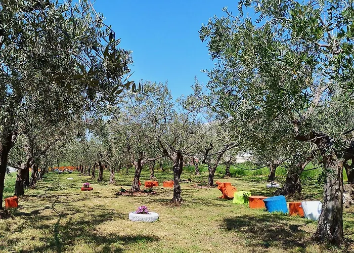 Colline Del Sole Отель типа 