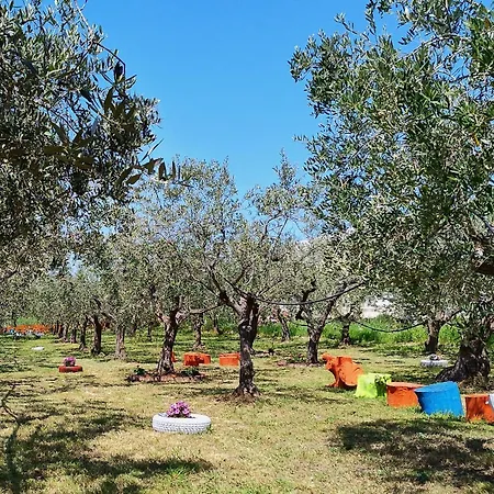 Colline Del Sole Bed & Breakfast San Salvo